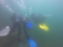 immersioni-estate22 6